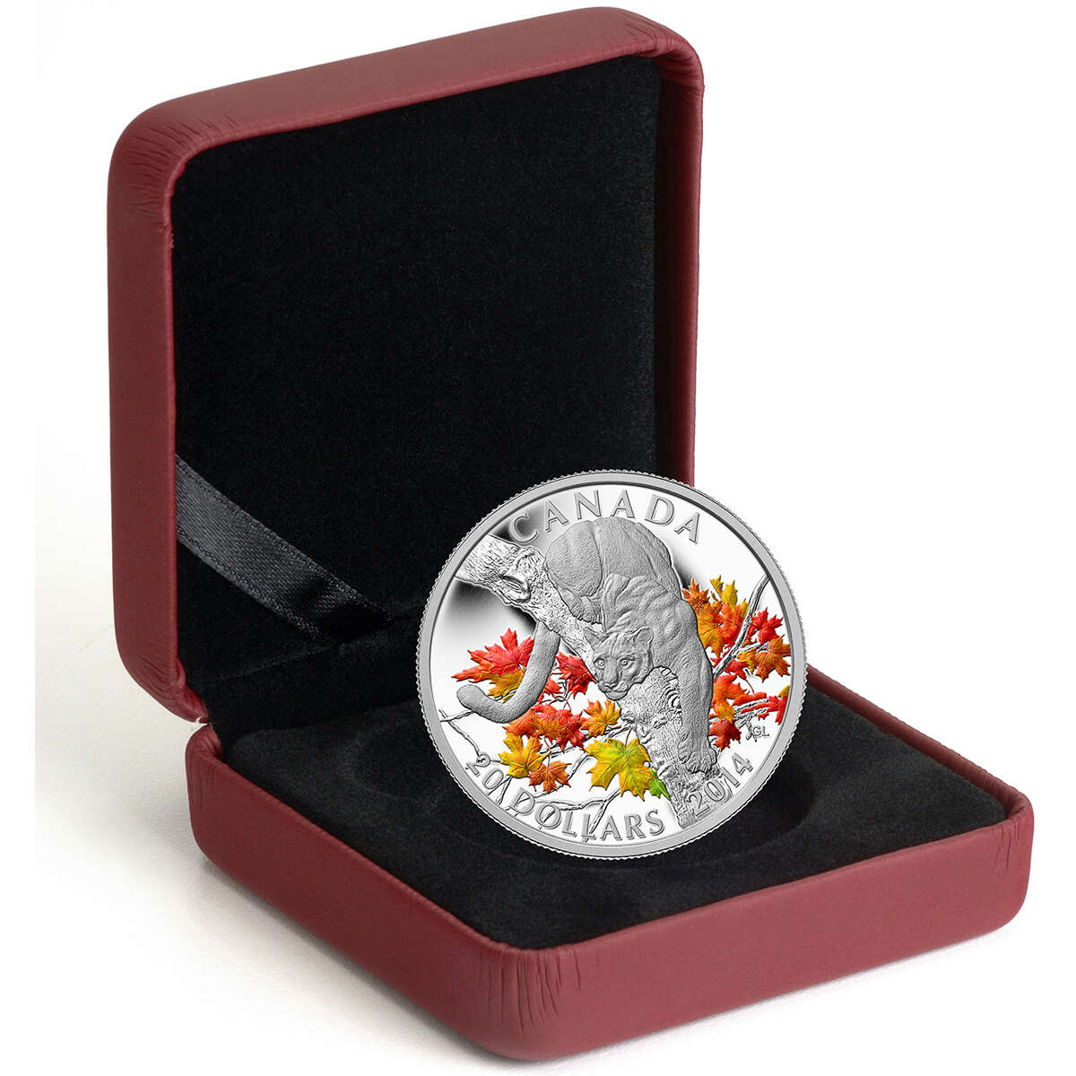 2014 $20 Cougar: Perched on a Maple Tree - Pure Silver Coin