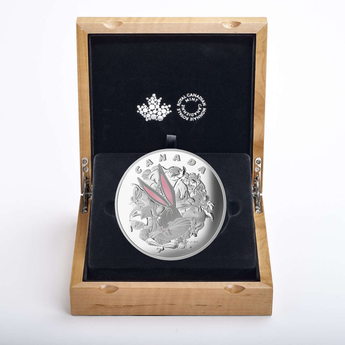 2015 $250 Looney Tunes <sup>TM</sup>: Ensemble Cast - Pure Silver Kilo Coin