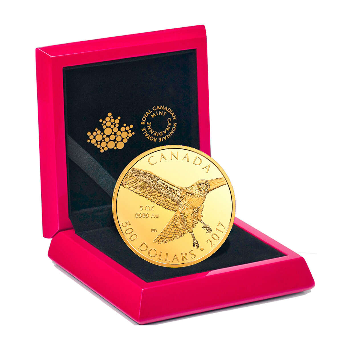 2017 $500 Red Tailed Hawk - Pure Gold Coin
