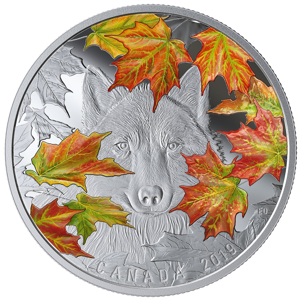 2019 $30 The Wily Wolf - Pure Silver Coin