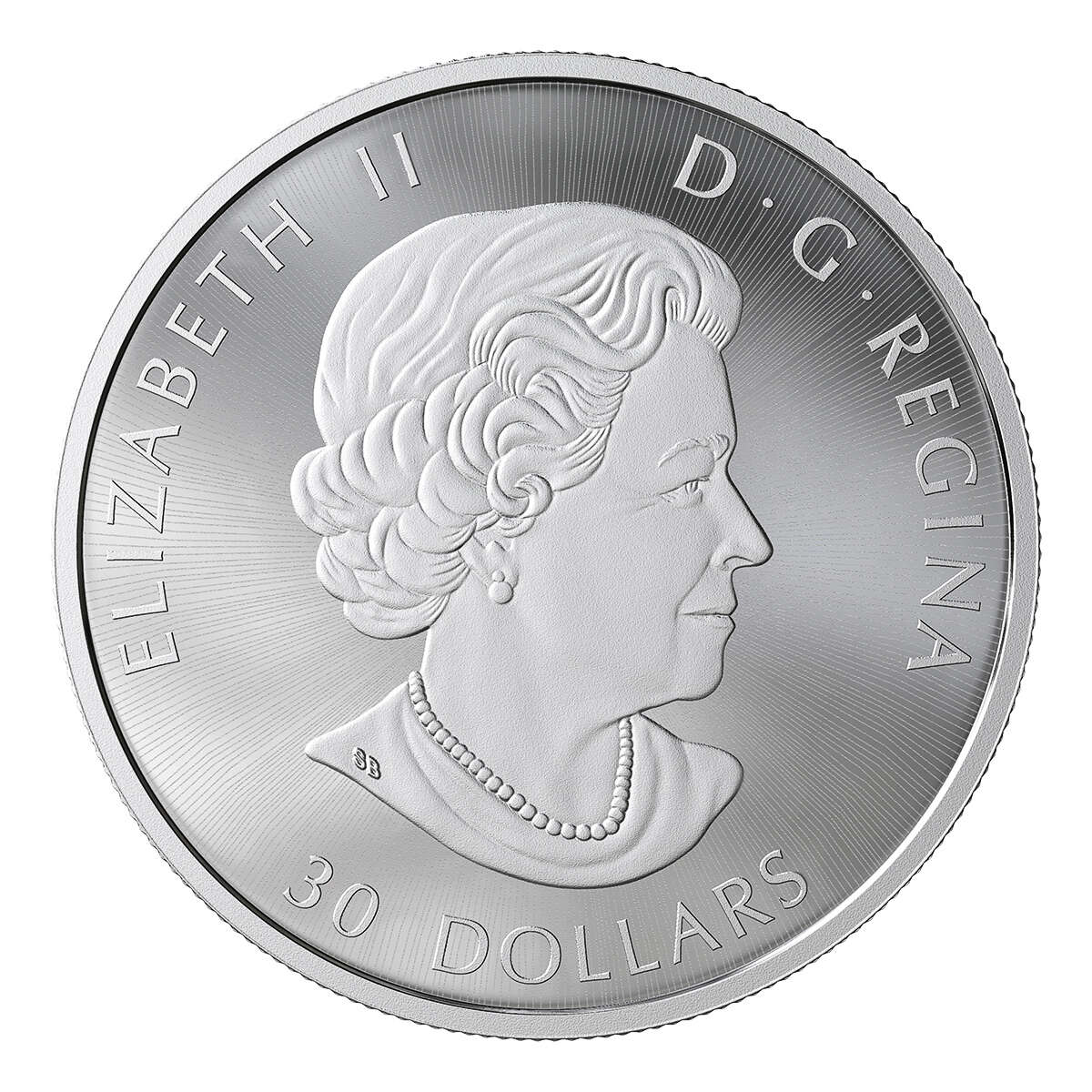 2019 $30 Birds in the Backyard - Pure Silver Coin