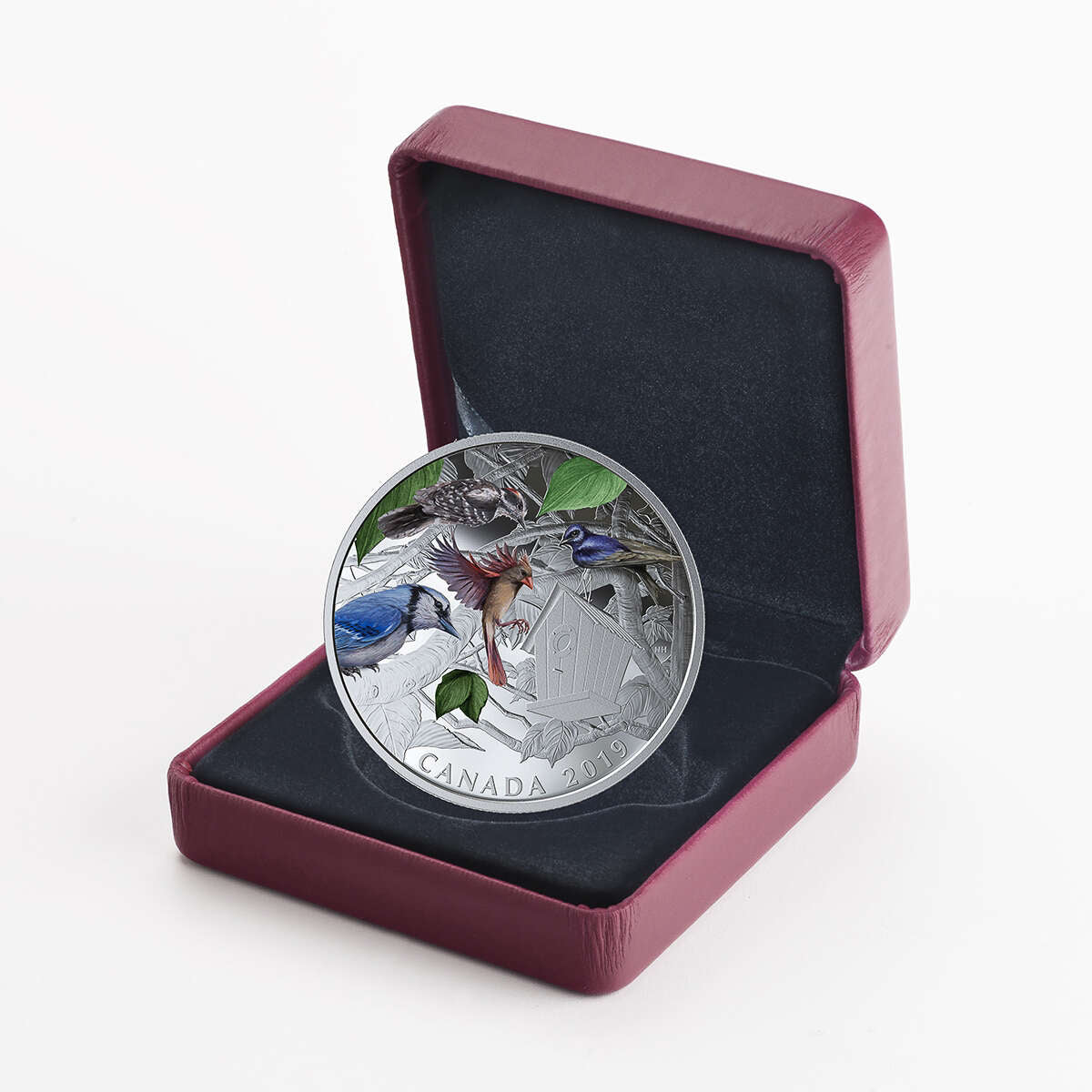 2019 $30 Birds in the Backyard - Pure Silver Coin
