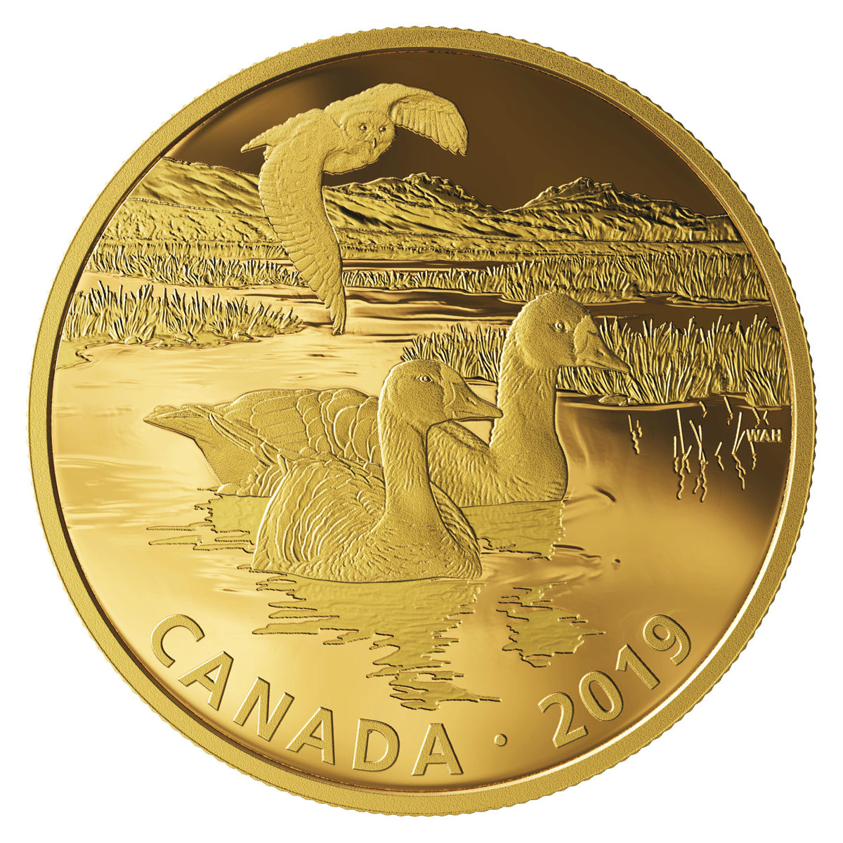 2019 $30 Golden Reflections: Predator and Prey - Pure Silver Coin Set