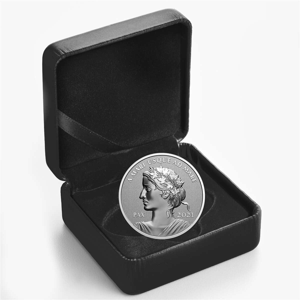 2021 $1 Peace Dollar - Pure Silver Coin
