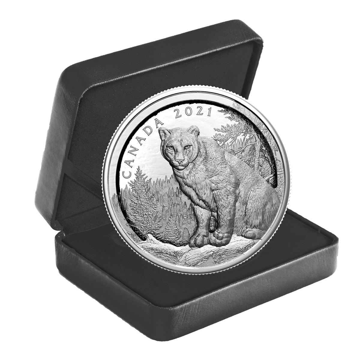 2021 $50 Multilayered Cougar - Pure Silver Coin <i>(No Certificate)</i>
