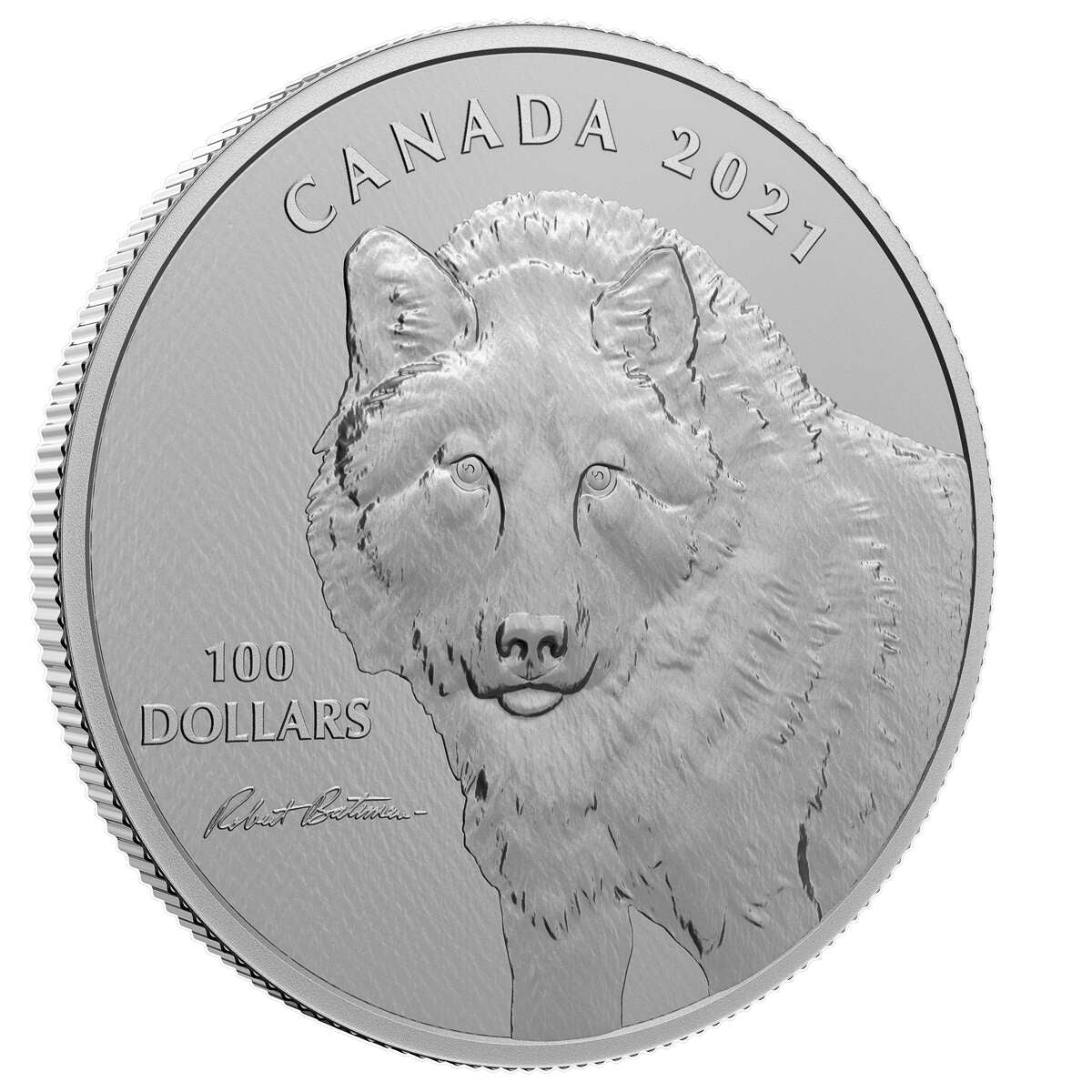2021 $100 Wolf Sketch, By Robert Bateman - Pure Silver Coin
