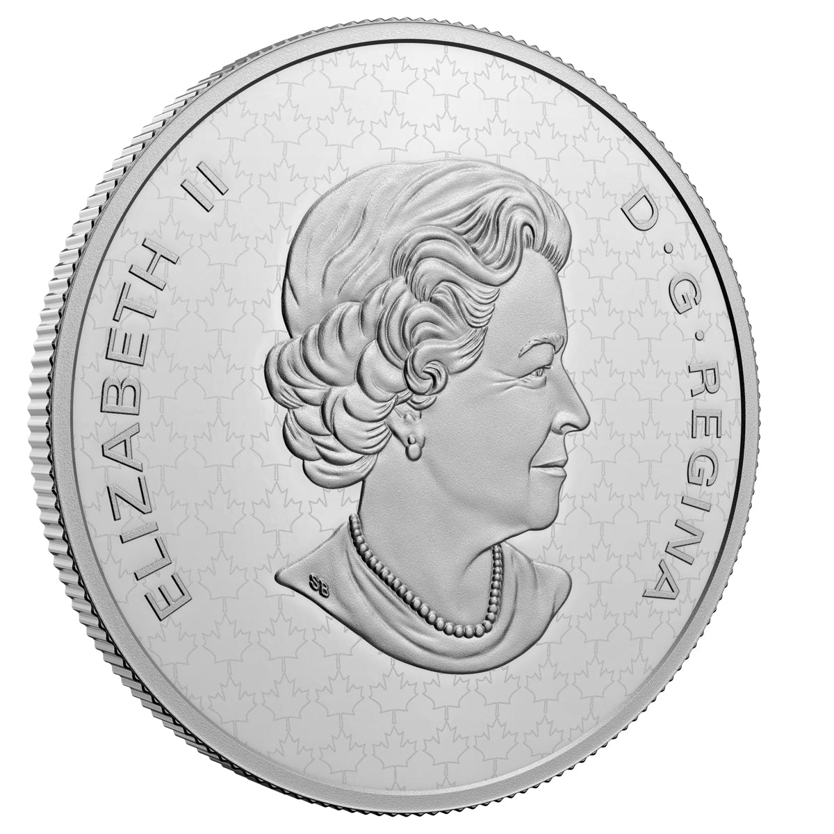 2022 $2 The Bigger Picture: The Polar Bear - Pure Silver Coin