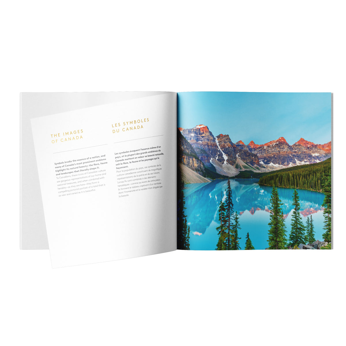 2024 $500 Heraldic Landscape: Birds of Canada - Pure Silver 5-Kilo Coin