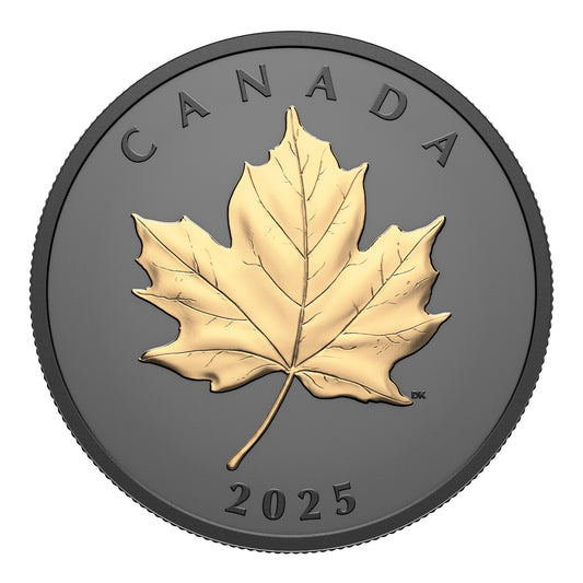 2025 $20 Gilded Elegant Maple - Pure Silver Coin