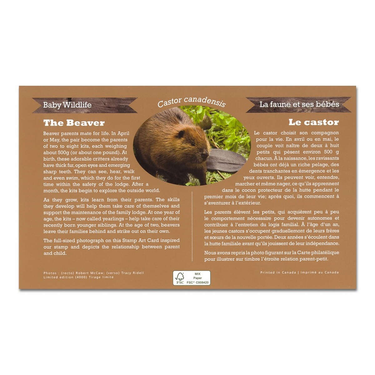 2014 $20 Baby Animals: Beaver - Pure Silver Coin and Stamp Set