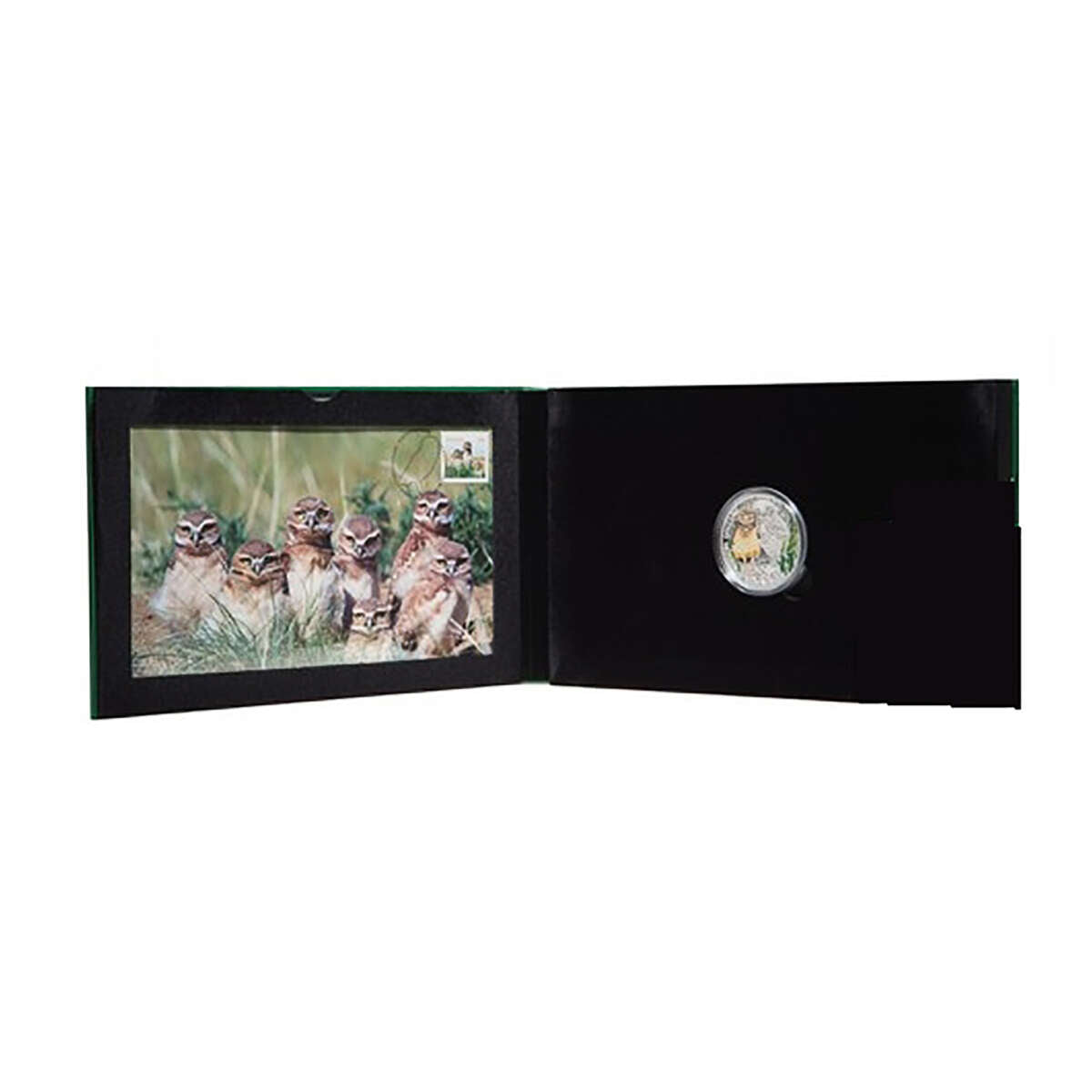 2015 $20 Baby Animals: Burrowing Owl - Pure Silver Coin and Stamp Set