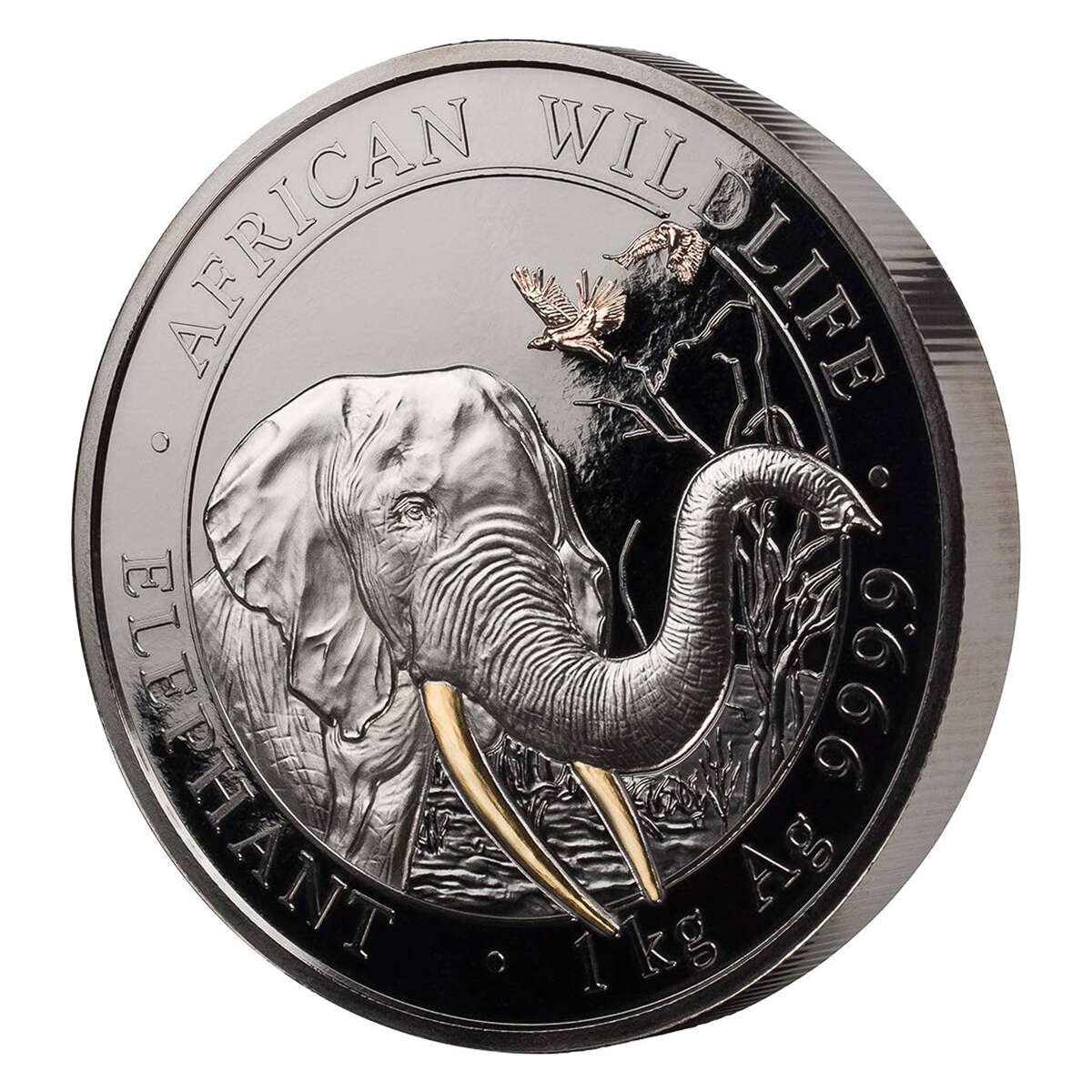 2018 2000 Schillings Golden Enigma: Somalia Elephant Kilo Coin
