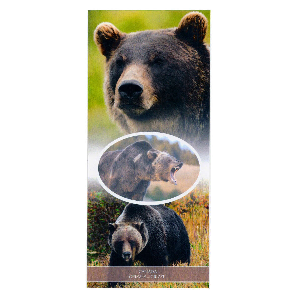 2011 $5 Grizzly Bear - 1 oz. Pure Silver Coin and Stamp Set