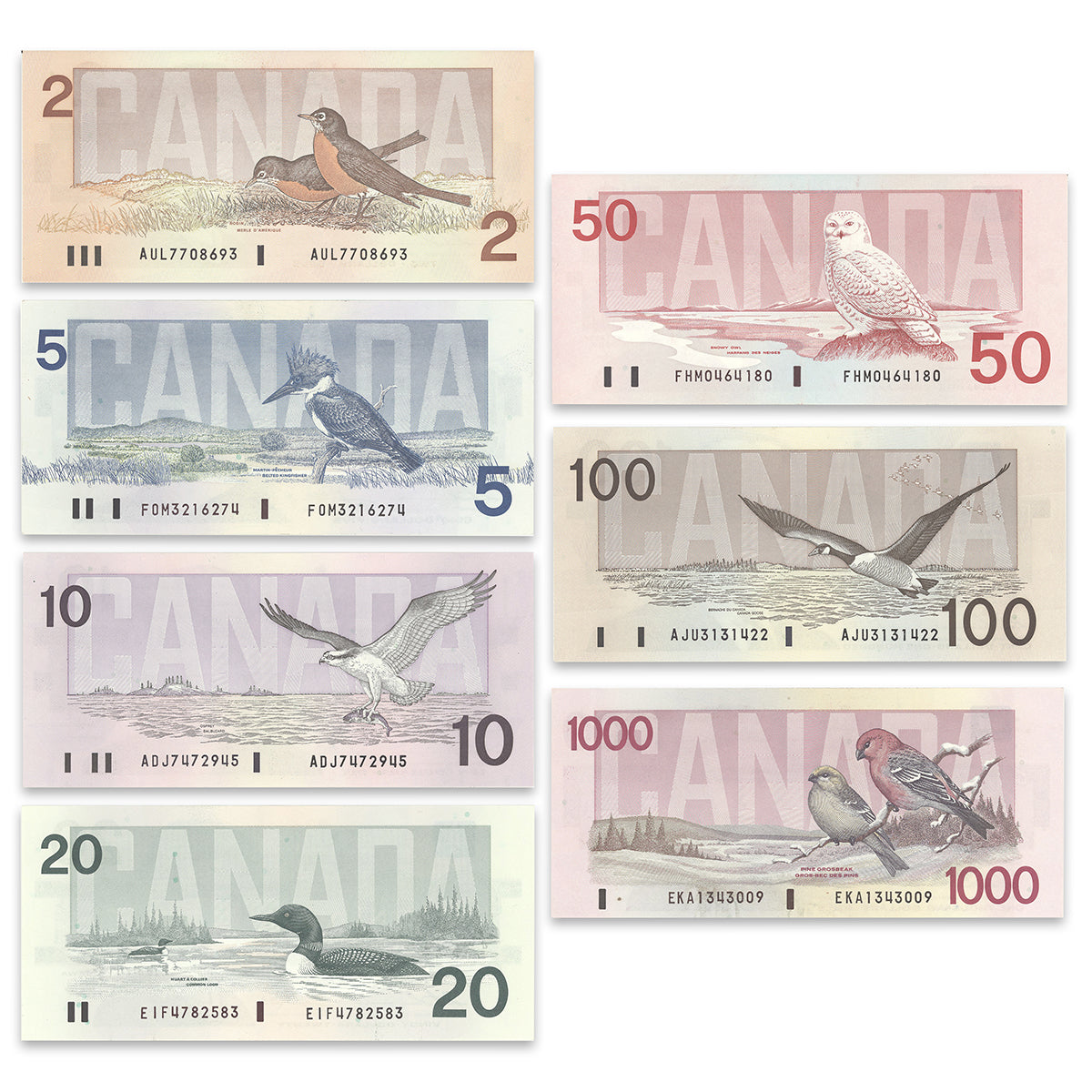 $2 - $1000 Bird Series 7 Banknote Set - Matching Signatures