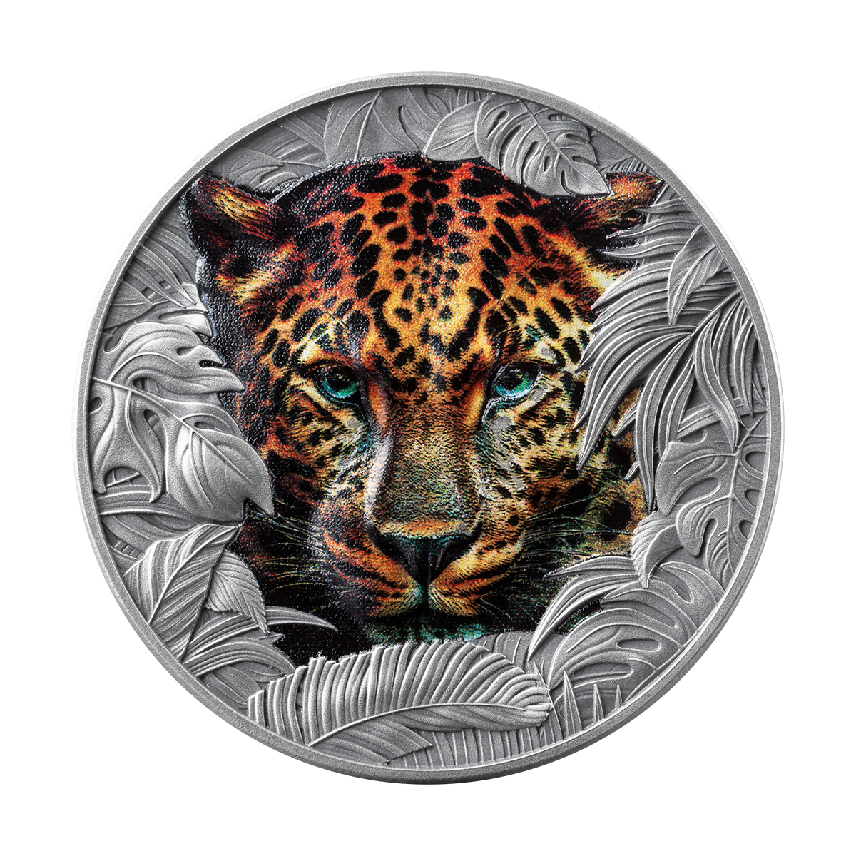 2026 $1 Leopard - Pure Silver Coin