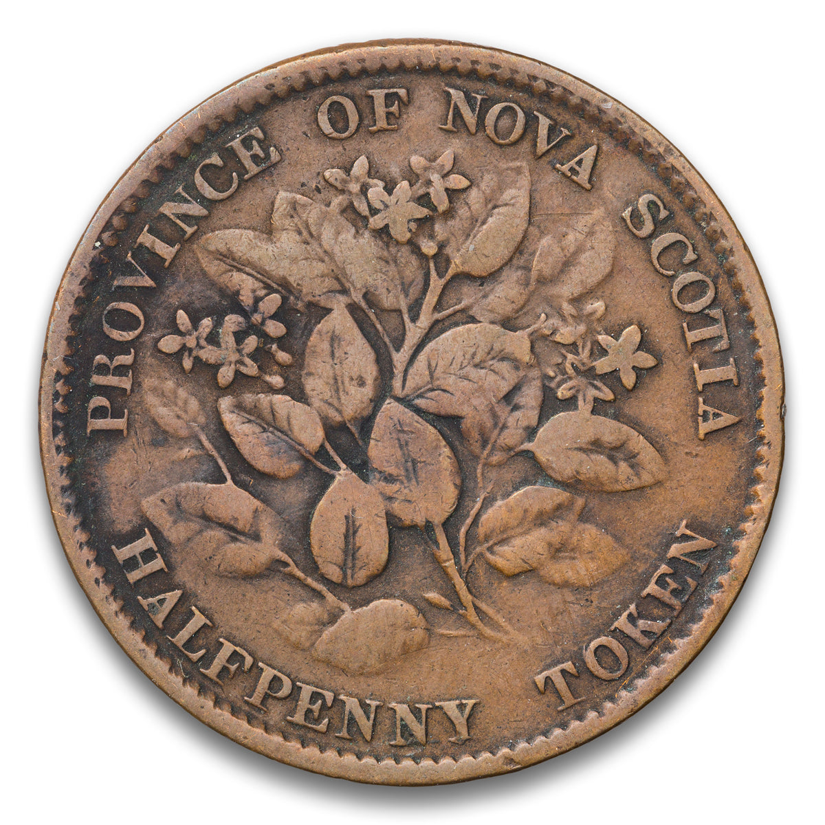 Province of Nova Scotia Base 1/2 penny token 1856