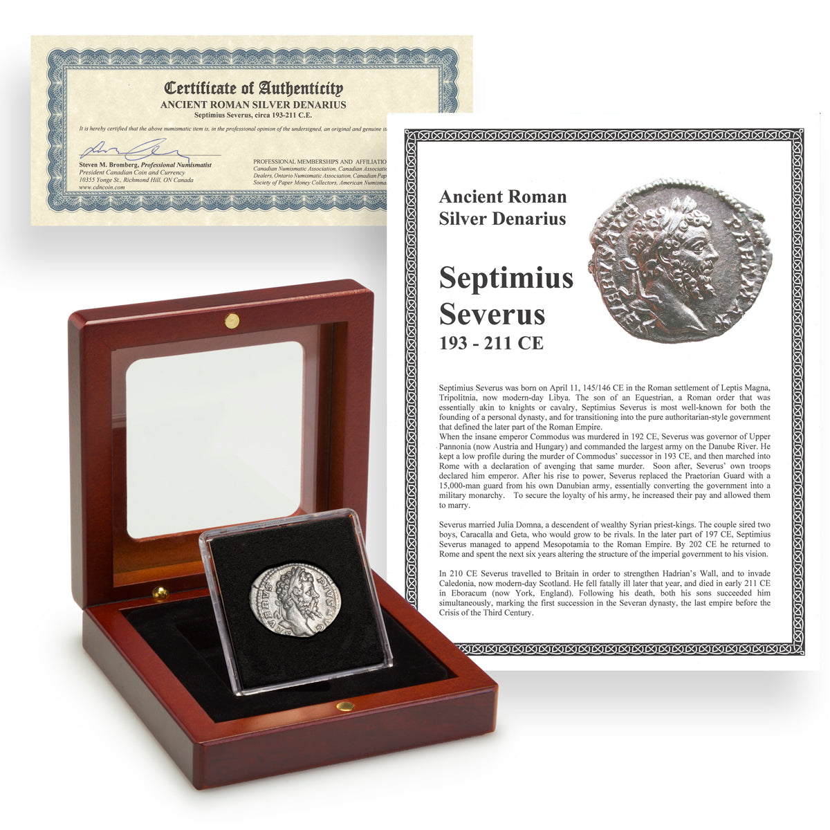 Ancient Rome Silver Denarius Septimius Severus 193-211 CE