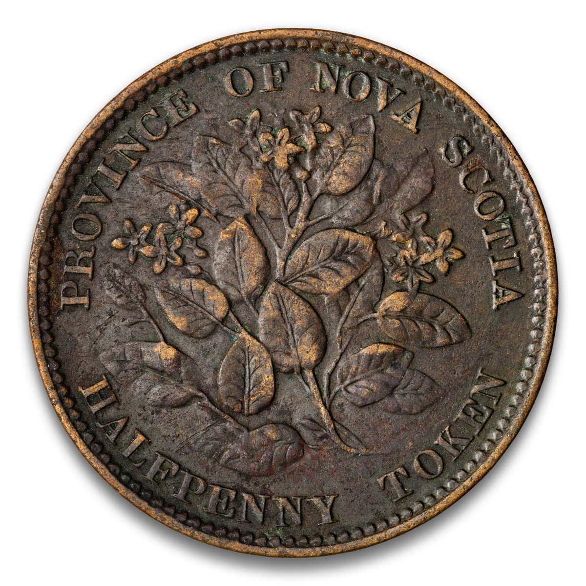 Province of Nova Scotia Base 1/2 Penny Token 1856