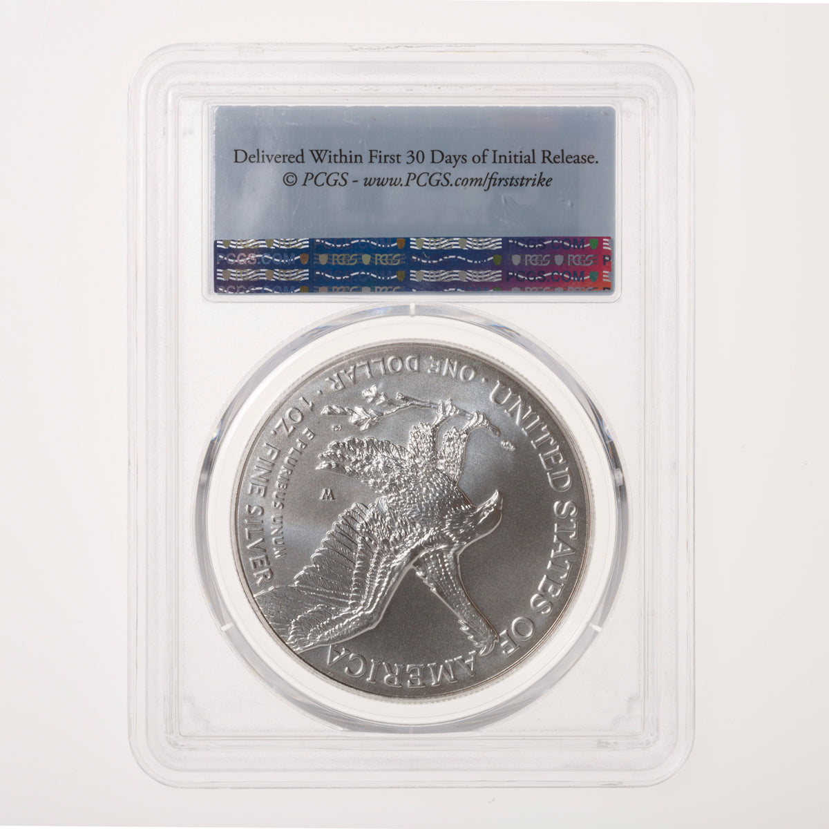 US 1oz .999 Fine Silver $1 Eagle: Burnished 2023 W SP-70