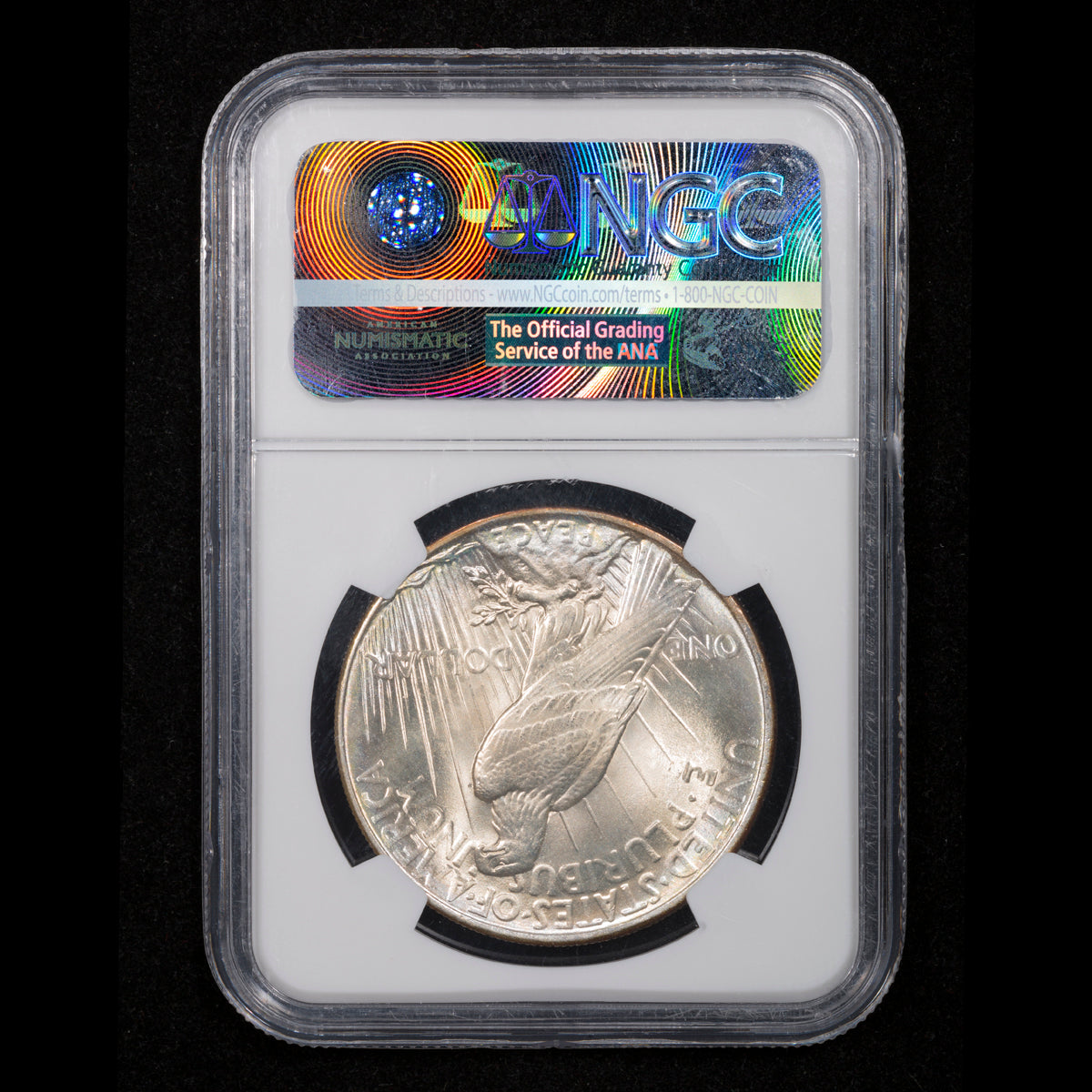 US $1 1925S NGC MS-66+ CAC Green Bean