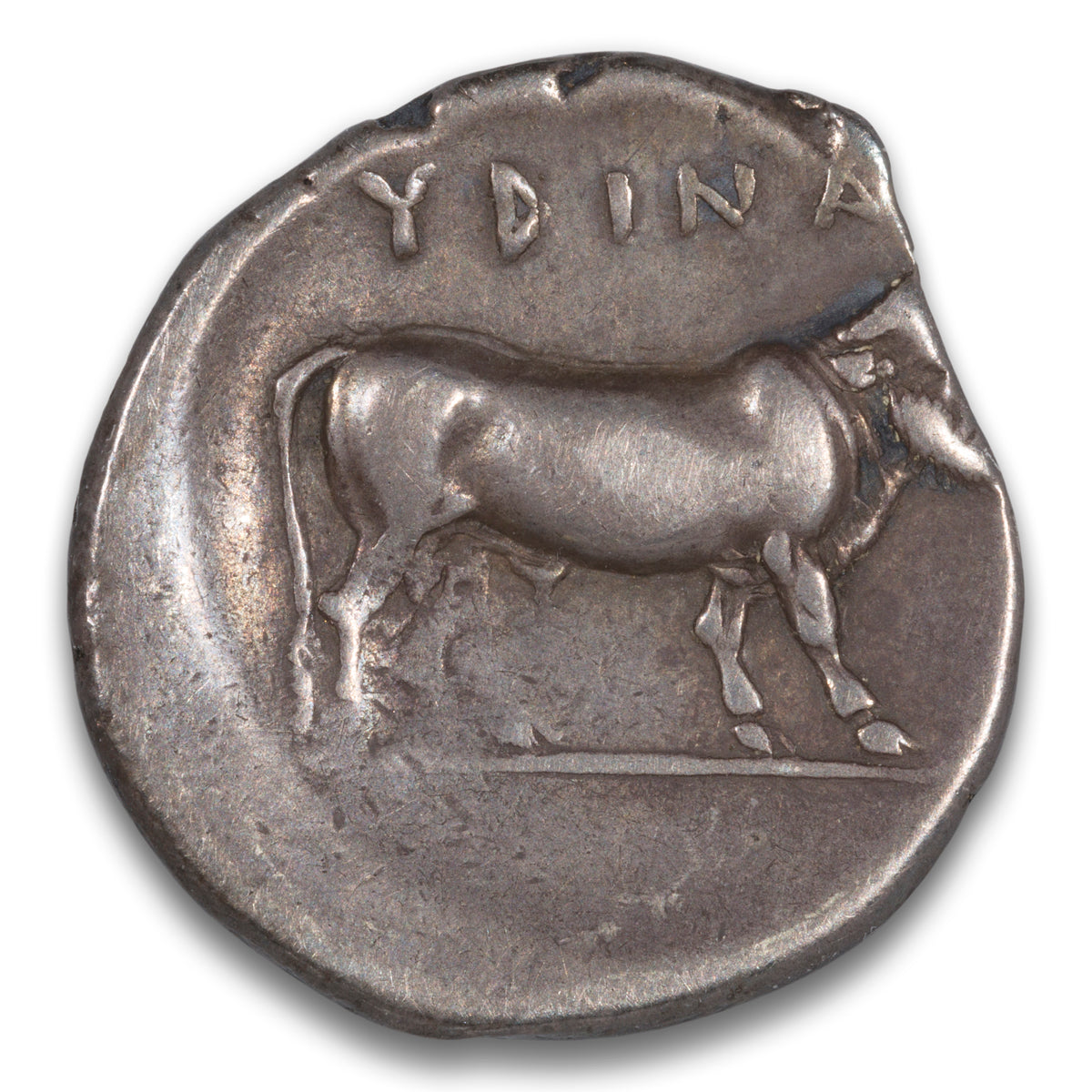 Ancient Greece Silver 1 Nomos 405-400 BCE Campania, Hyria