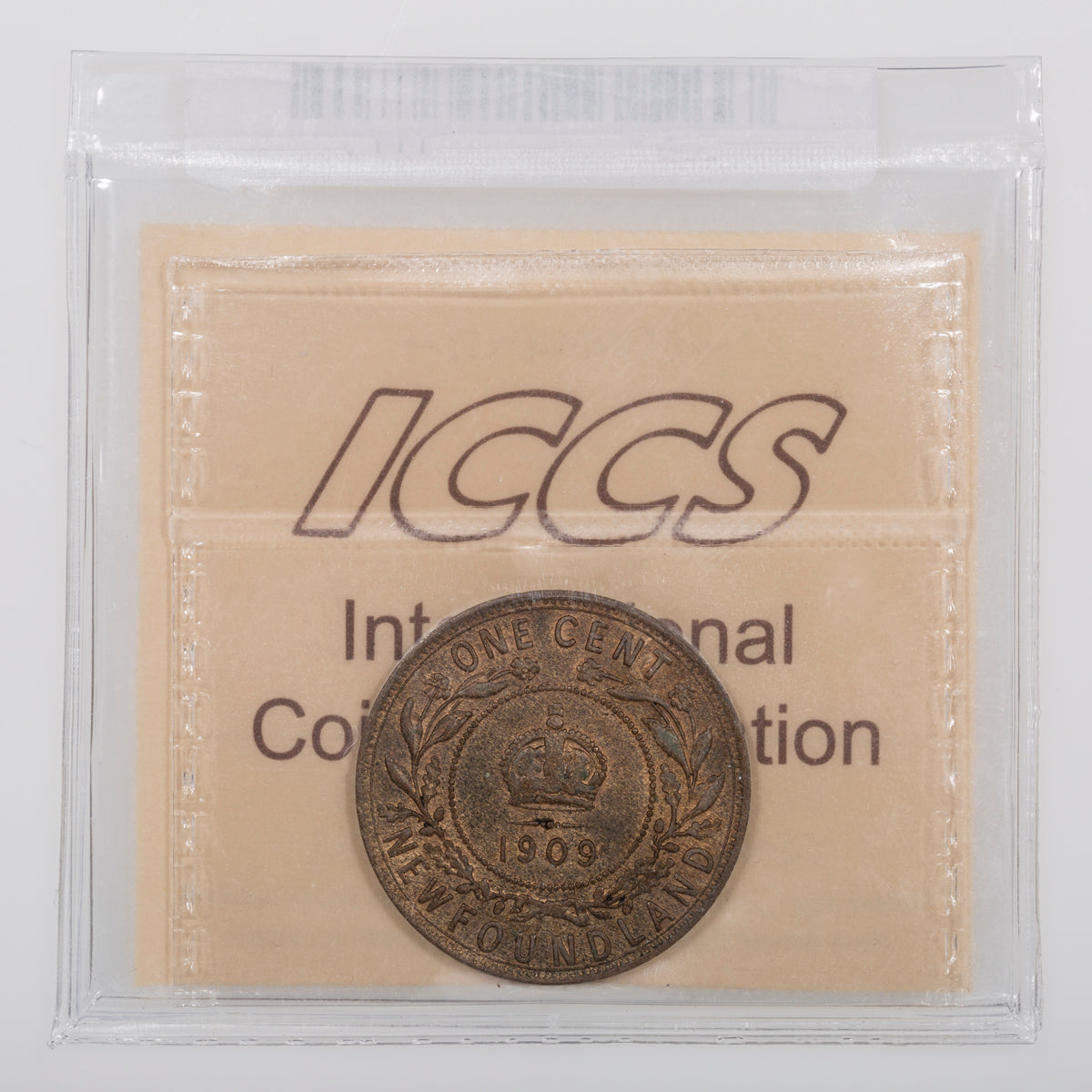 NFLD 1 Cent 1909 ICCS AU-50