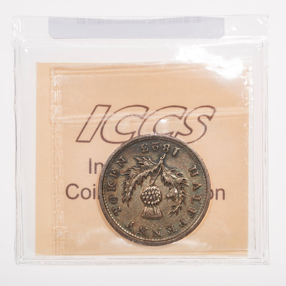Nova Scotia CH# NS-1A1 Thistle George IV Halfpenny Token 1823 Fifteen leaves ICCS AU-50