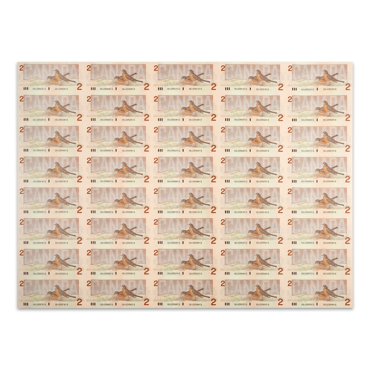 $2 1986 BC-55c Uncut Banknote Sheet Bonin-Theissen Prefix CBJ AU 5x8