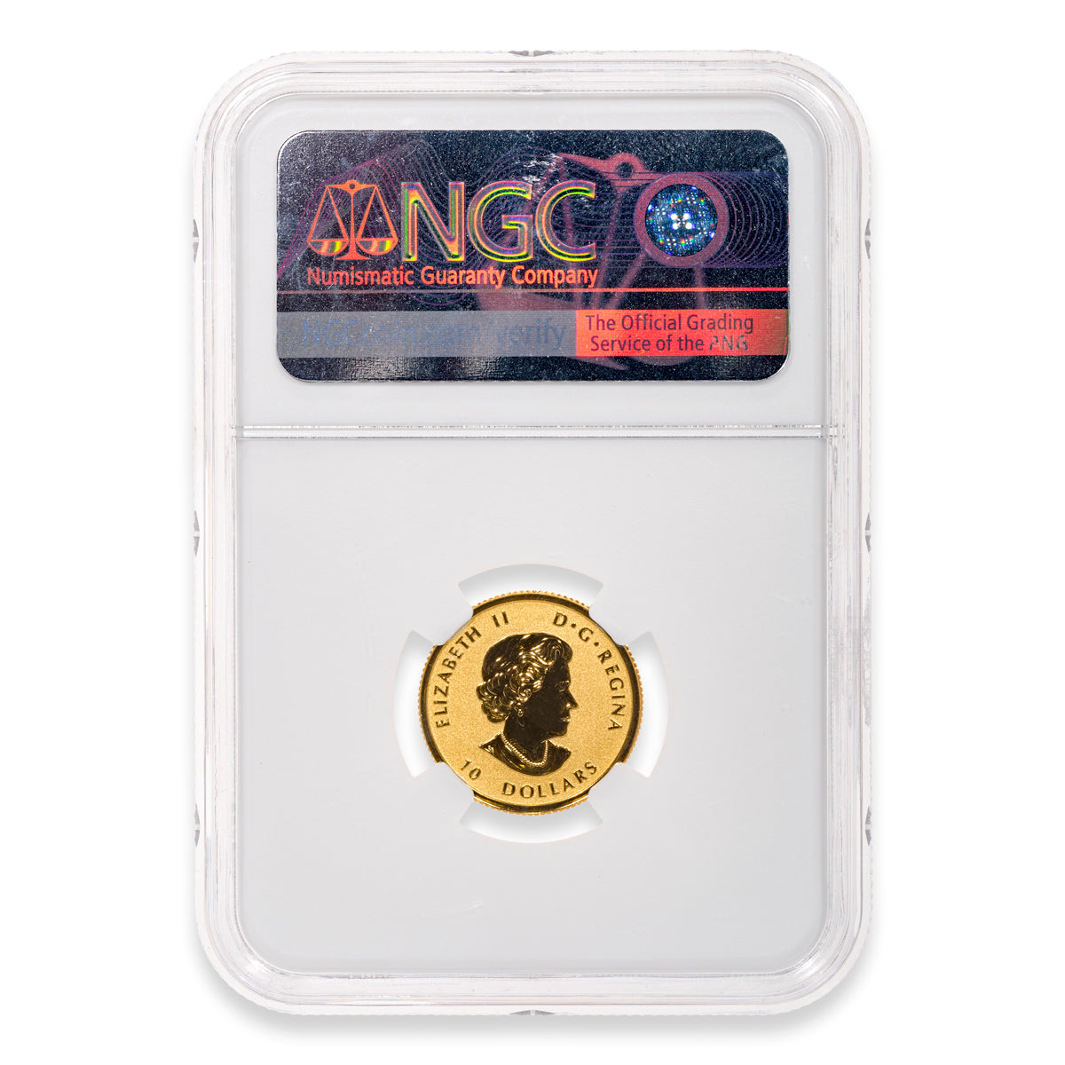 2019 $10 Animal Portraits: Wild Horse - Pure Gold Coin