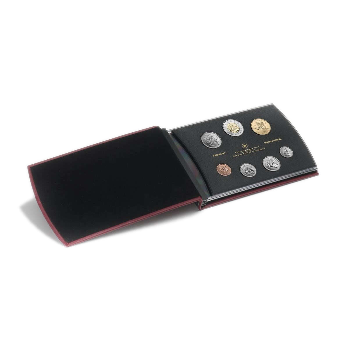 2009 Specimen Set: Great Blue Heron/ Polar Bear