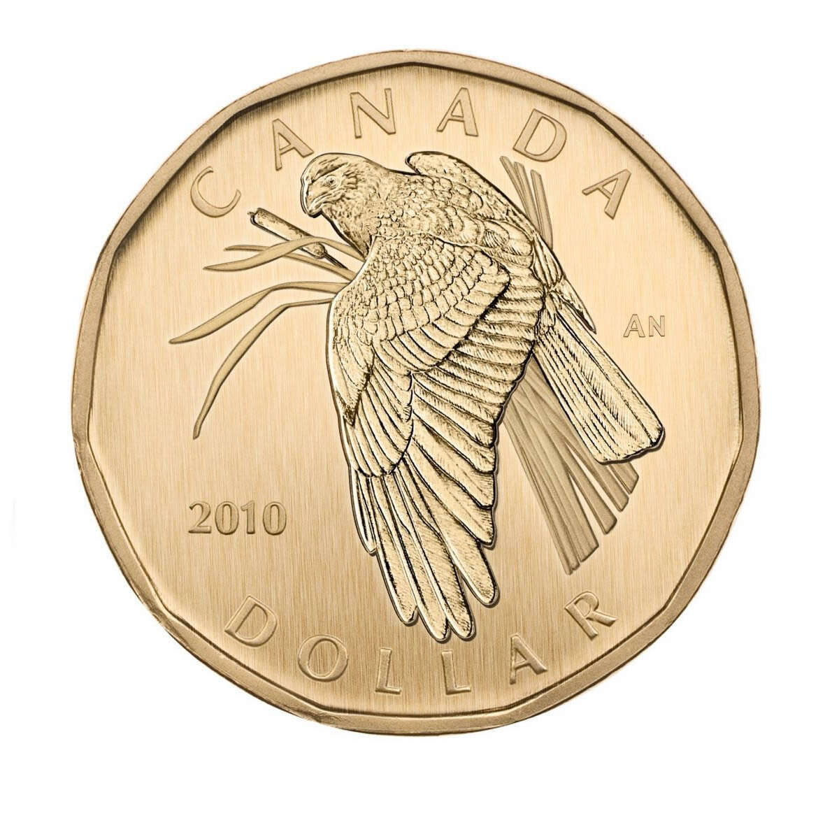 2010 Specimen Set: Northern Harrier Default Title