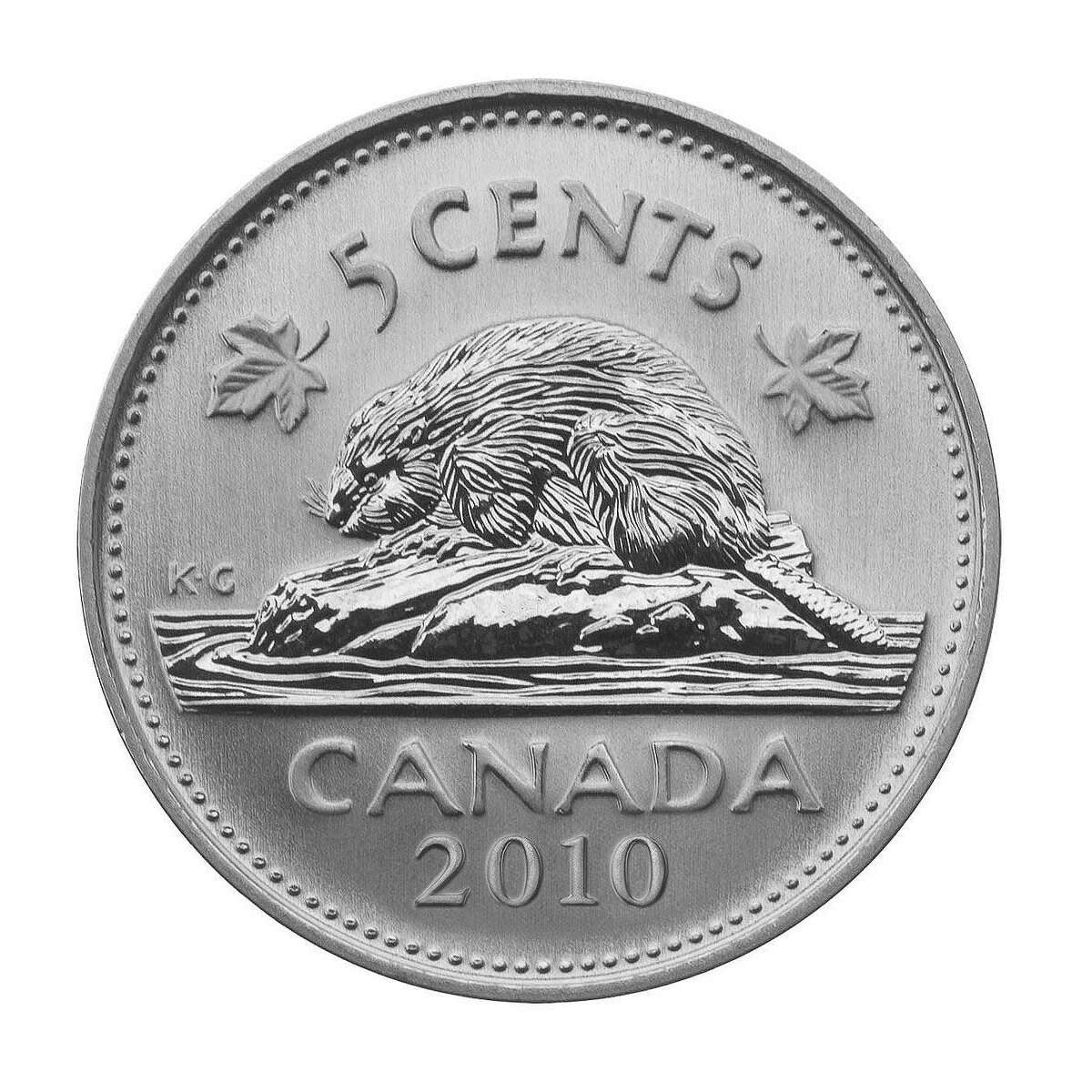 2010 Specimen Set: Northern Harrier Default Title