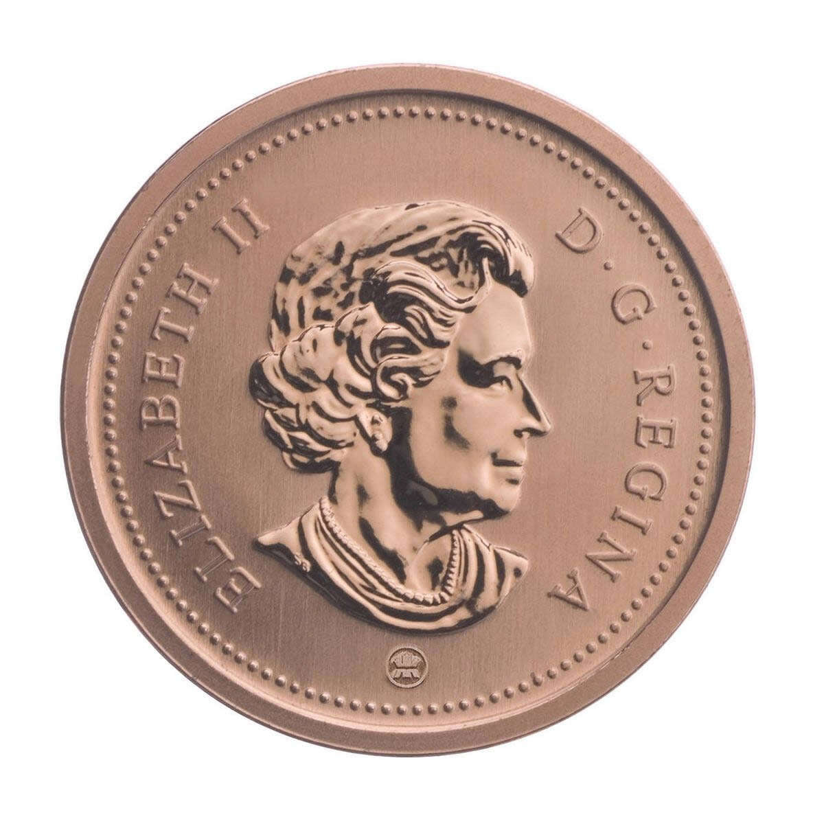 2010 Specimen Set: Northern Harrier Default Title