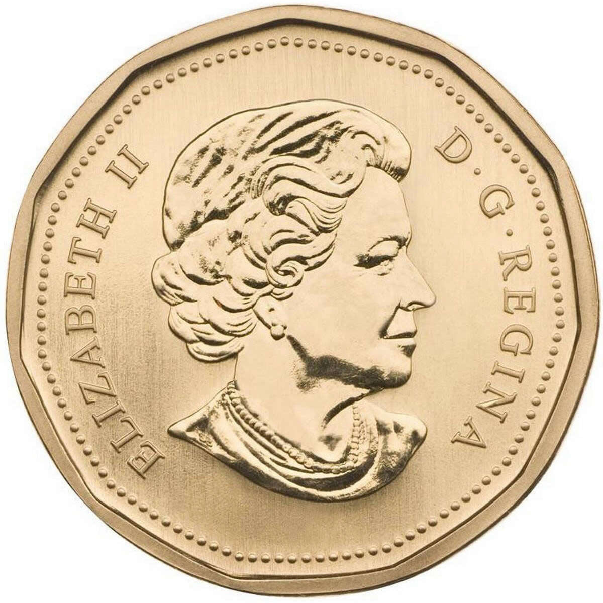 2010 Specimen Set: Northern Harrier Default Title