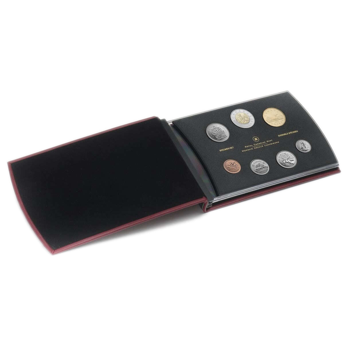 2010 Specimen Set: Young Lynx - Special Edition