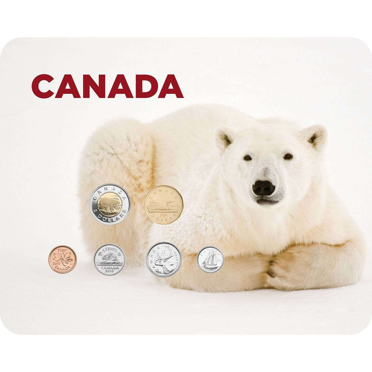 2010 Coin Collector Cards - Polar Bear Default Title