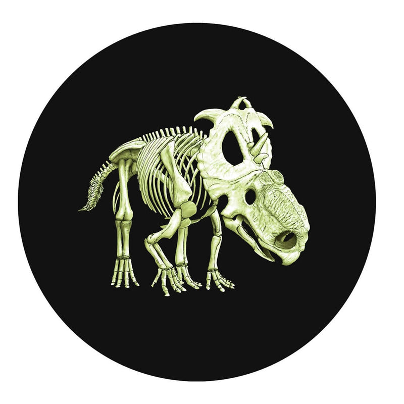2012 25c Prehistoric Creatures: Pachyrhinosaurus Lakustai - Glow-in-the-Dark Coloured Coin Default Title