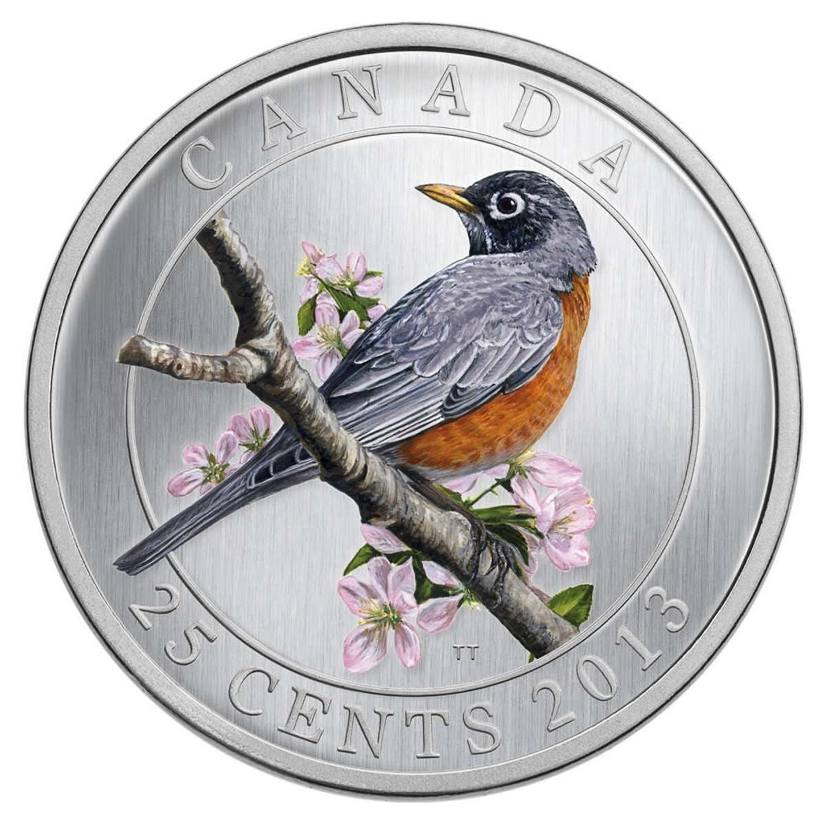 2013 25c Birds of Canada American Robin Coloured Coin