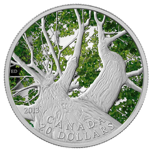 2013 $20 Maple Canopy: Spring - Pure Silver Coin Default Title