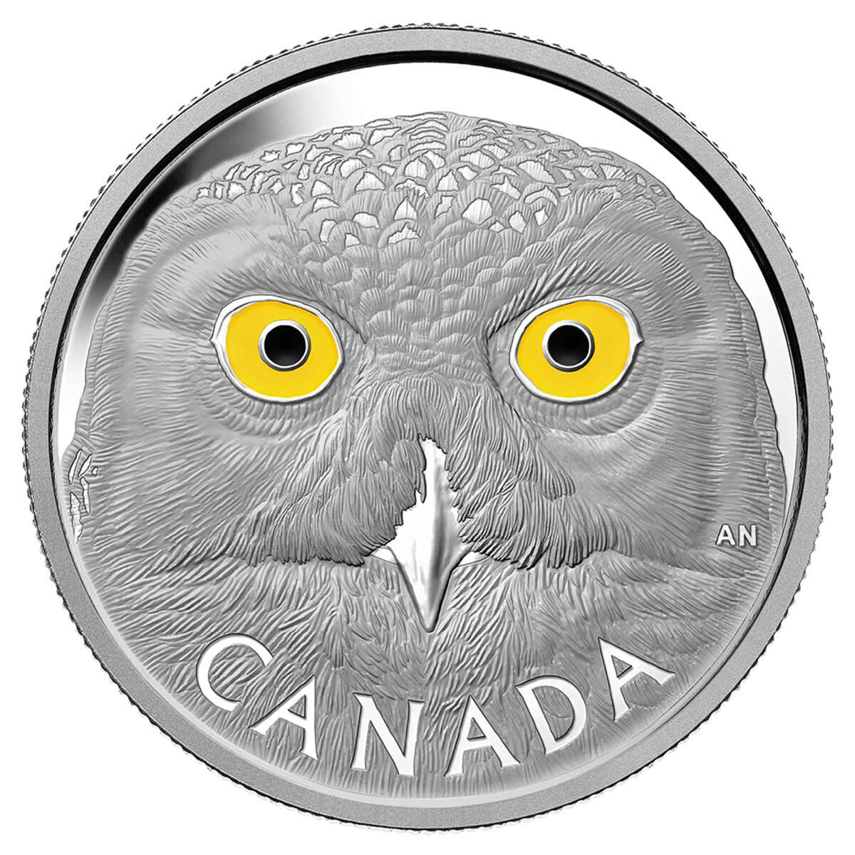 2014 $250 In the Eyes of the Snowy Owl - Pure Silver Kilo Coin