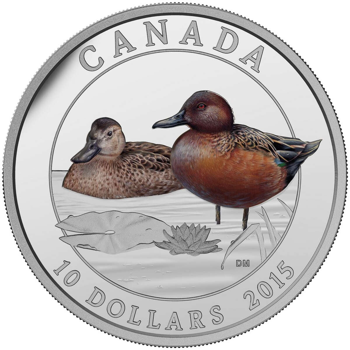 2015 $10 Ducks of Canada: Cinnamon Teal - Pure Silver Coin Default Title