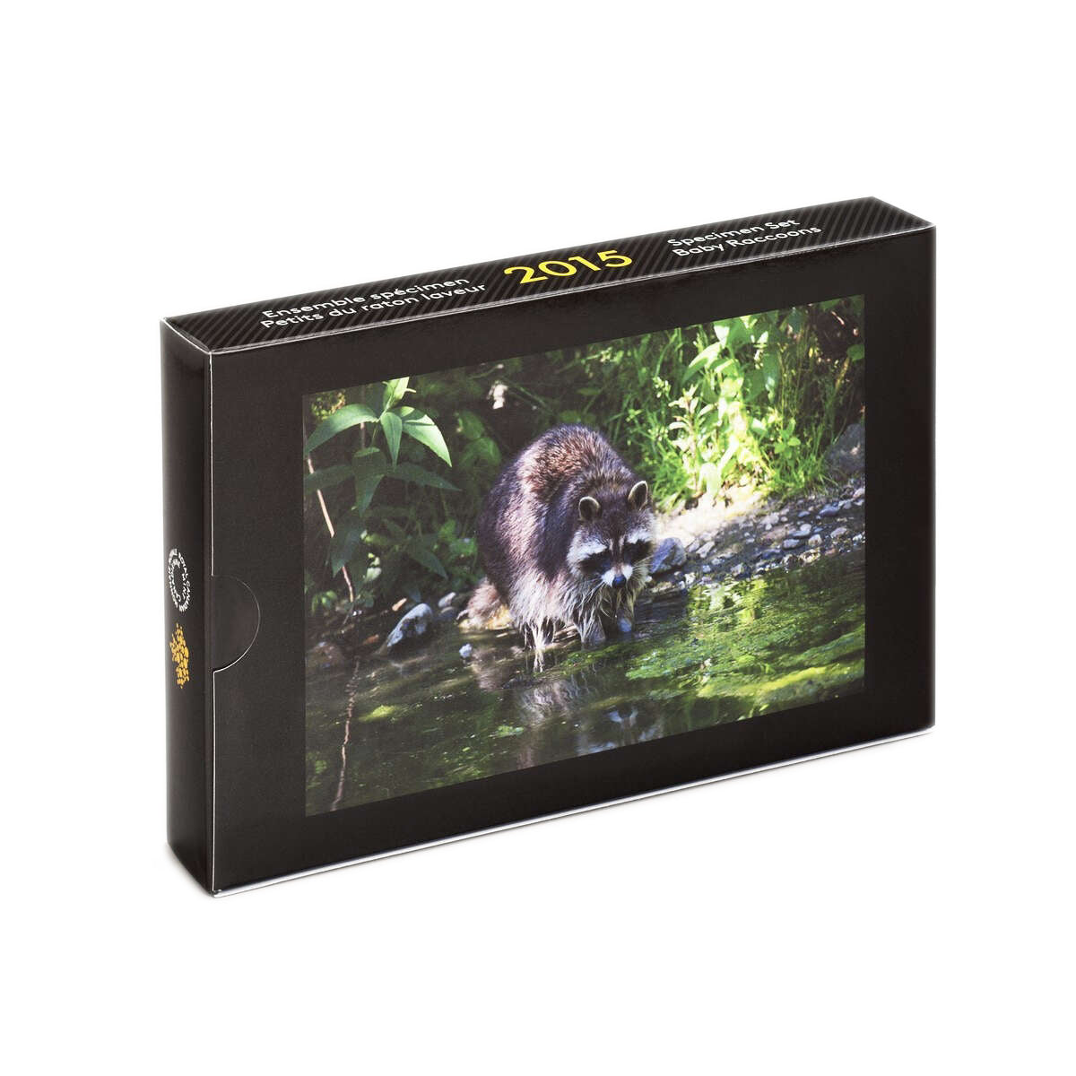 2015 Specimen Set: Baby Raccoon