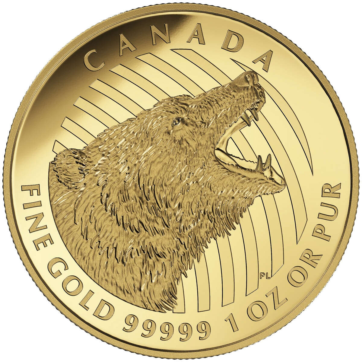 m*5様 オルゴン　ふりふりゴールド200mm 2016 $200 Roaring Grizzly Bear - Pure Gold Coin