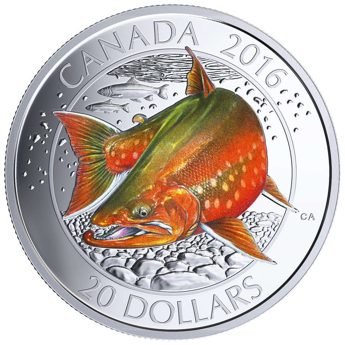 トールマン('12米/カナダ/仏) 2016 $20 Canadian Salmonids: Arctic Char - Pure Silver Coin