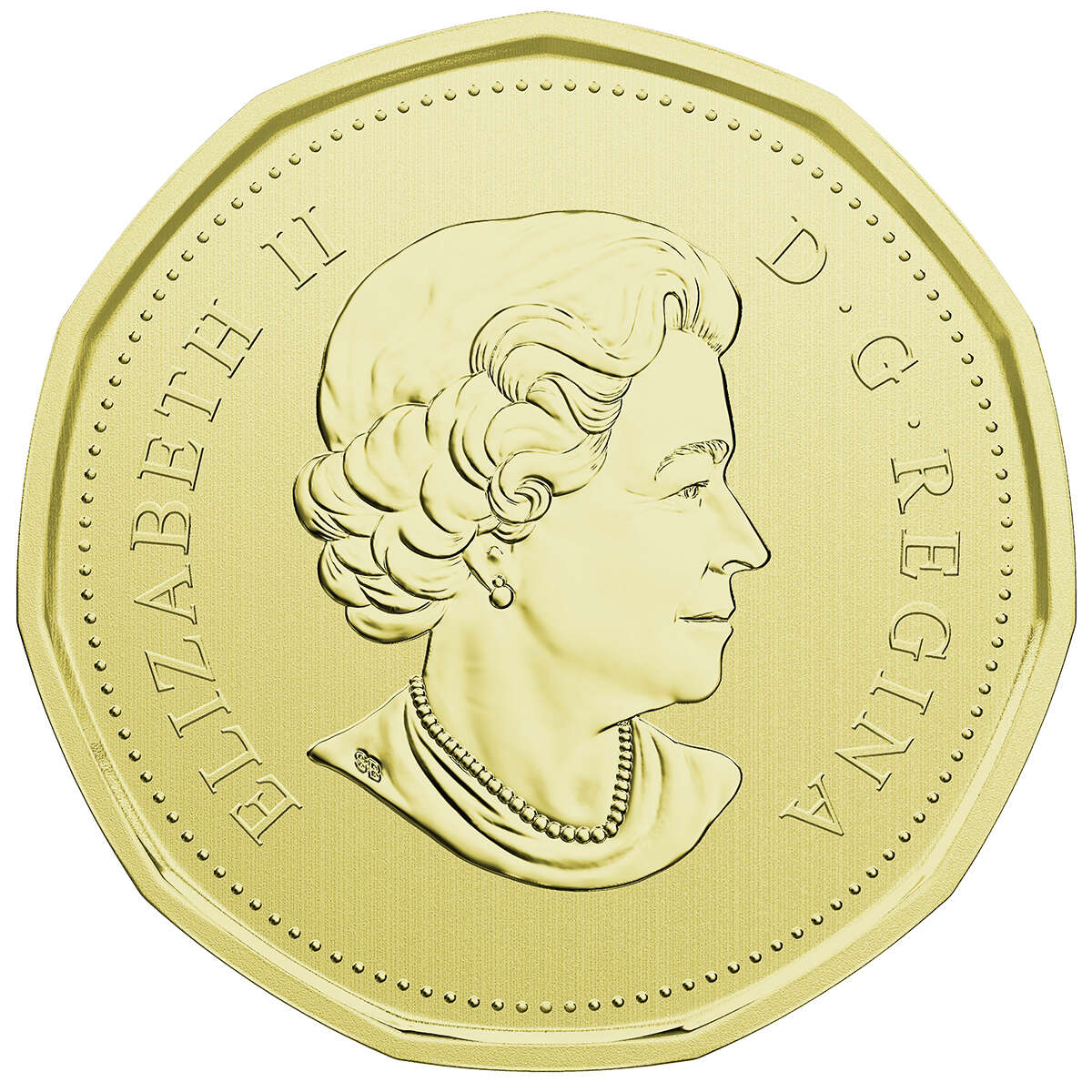 2018 Burrowing Owl Specimen Set Default Title