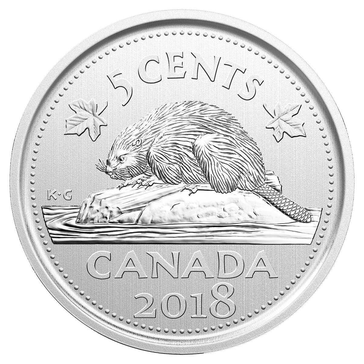 2018 Burrowing Owl Specimen Set Default Title