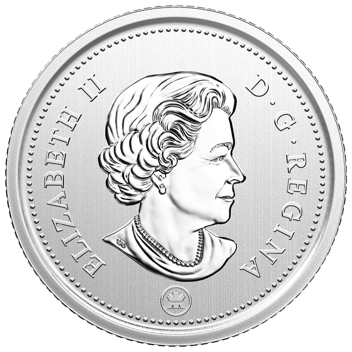 2018 Burrowing Owl Specimen Set Default Title