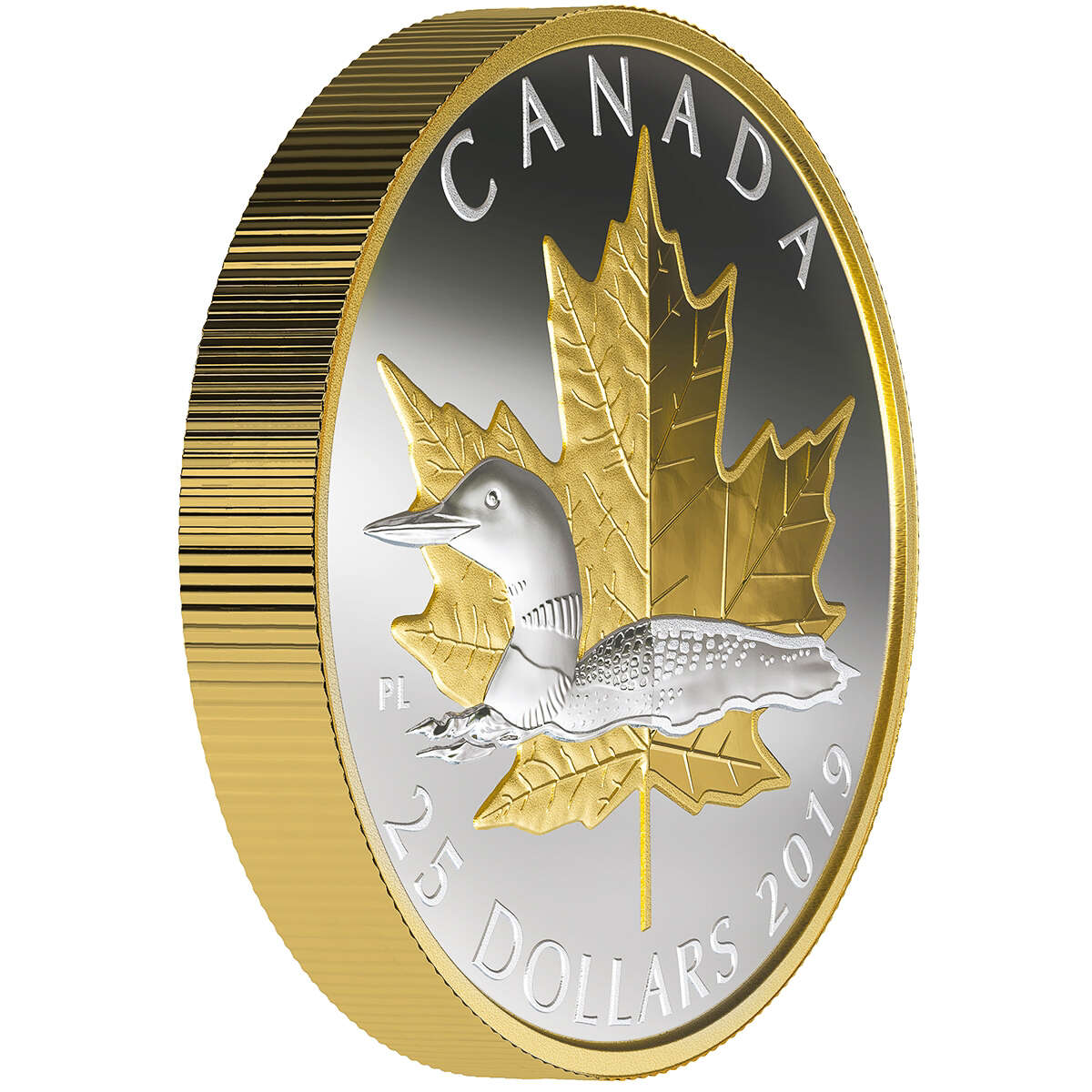 2019 $25 Timeless Icons: Loon - Pure Silver Piedfort Coin Default Title