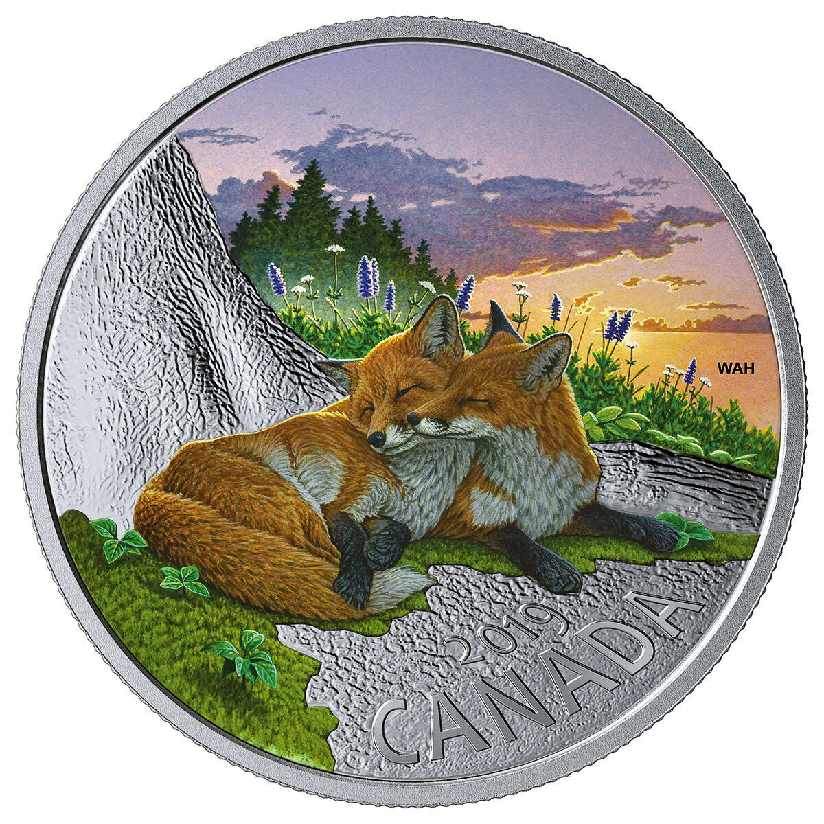 2019 $20 Canadian Fauna: The Fox Default Title
