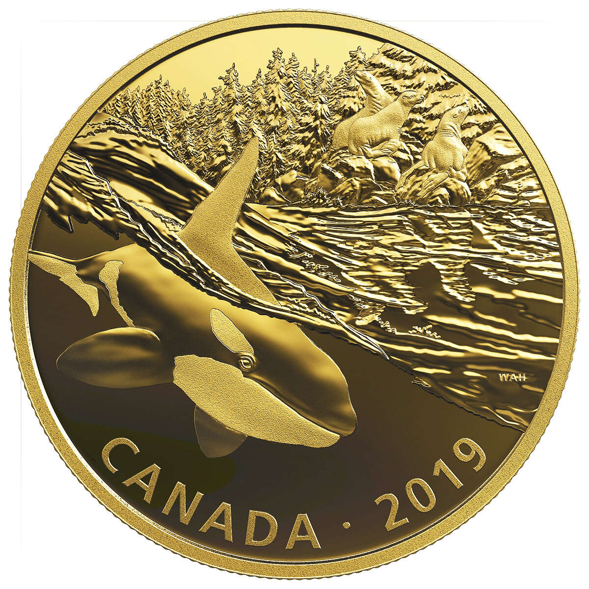 2019 $30 Golden Reflections: Predator and Prey - Orca and Sea Lions (SINGLE) - Pure Silver Coin Default Title